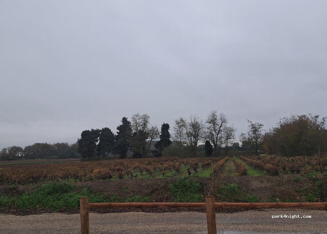 (30200) Codolet - 11 Chemin de la Lône — foto 5