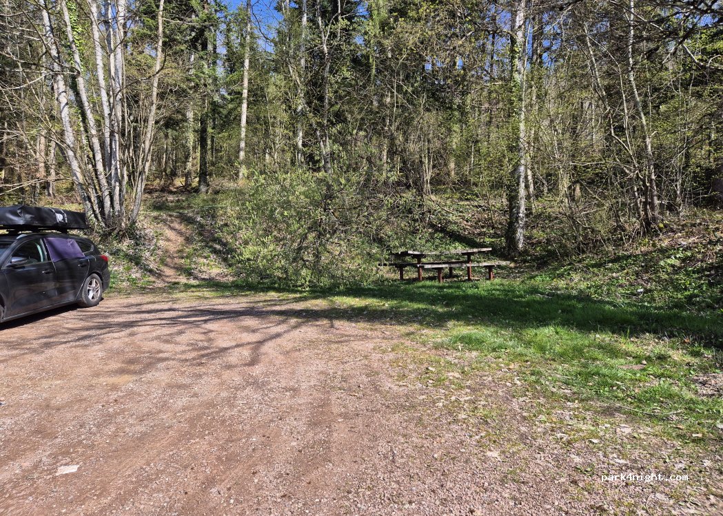 (79686) Hasel - Unnamed Road — foto 5
