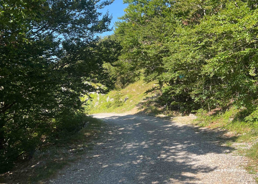 (23243) Gračac - — foto 2