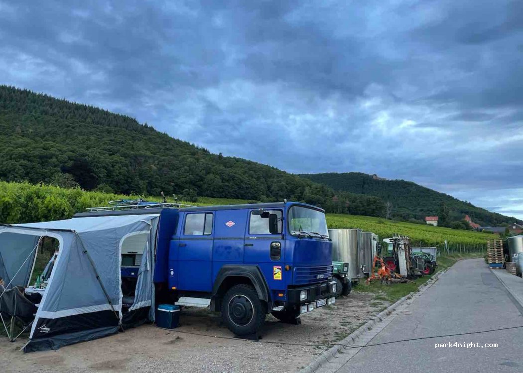 Weingut Graf von Weyher — foto