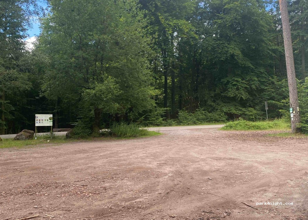 (67471) Elmstein - — foto 3
