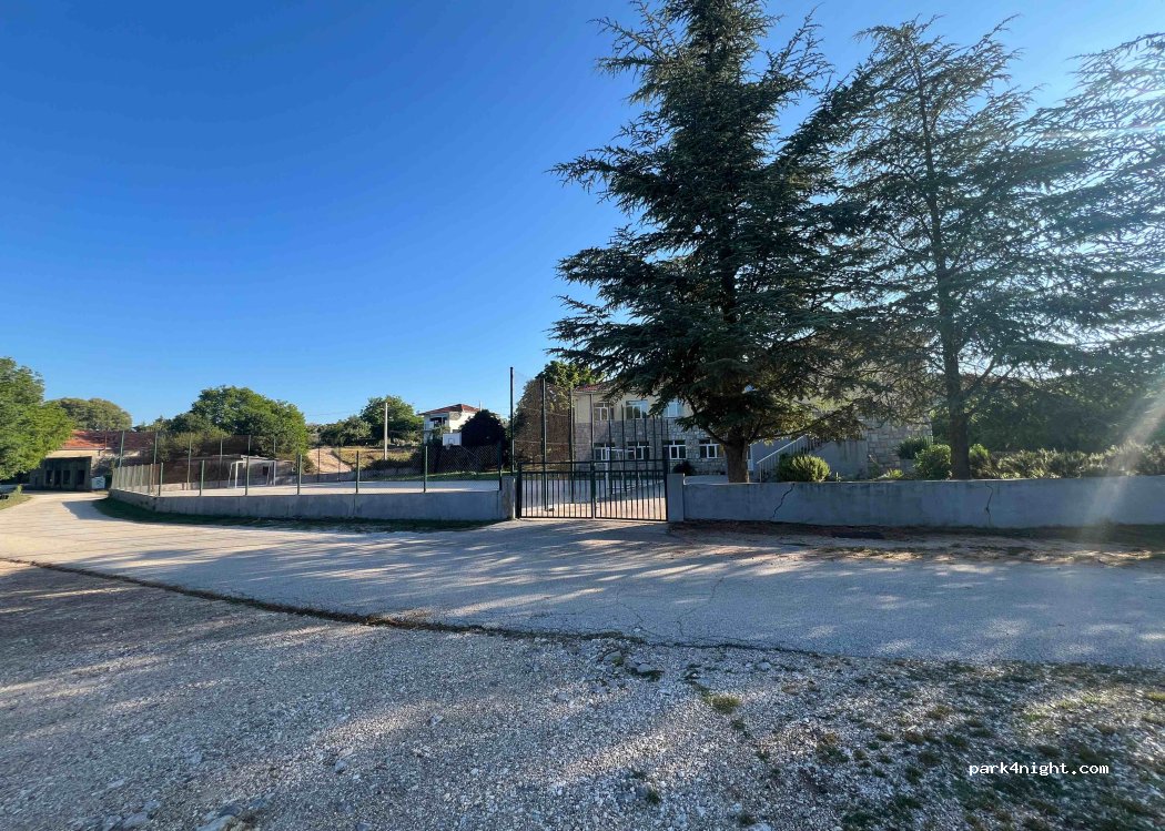 (21203) Bračević - 11 Vrba I — foto