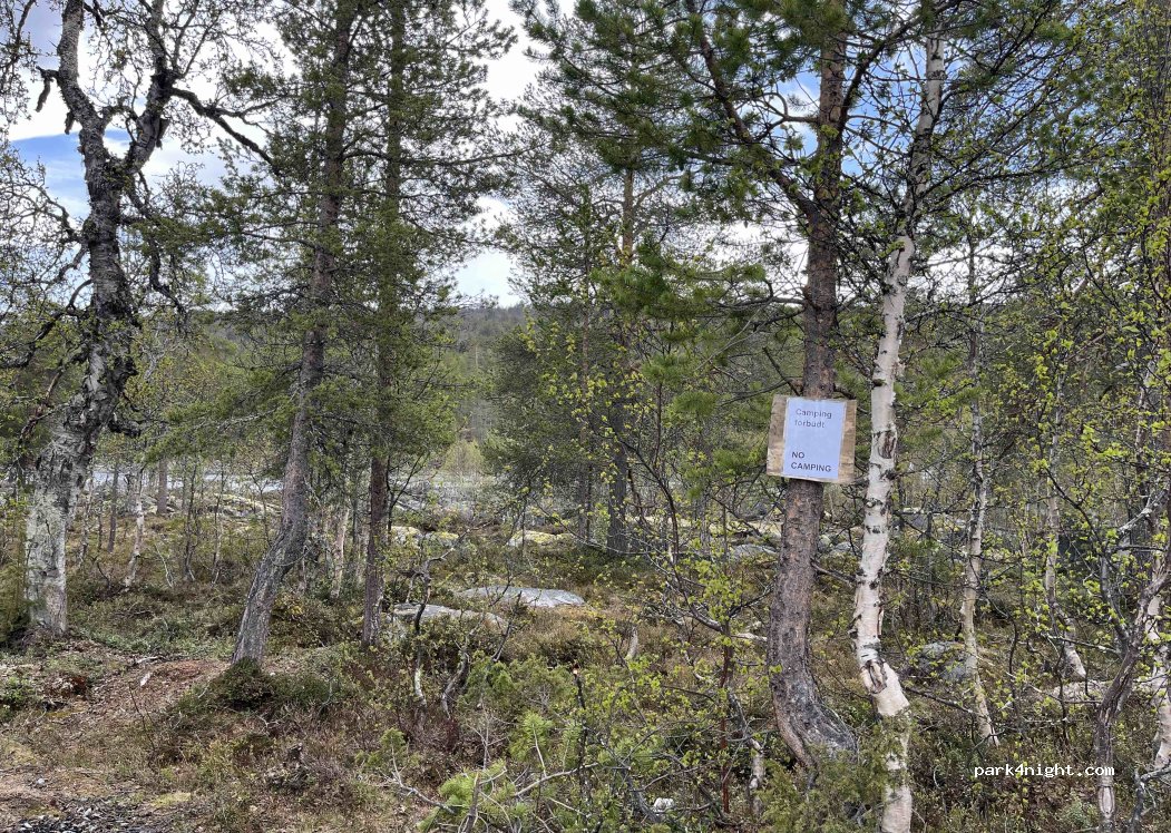 (2693) Billingen - — foto 5