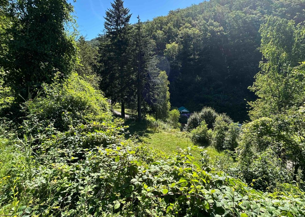 Naturpark & Camping Suleika — foto 3