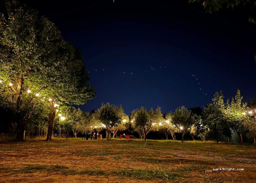 Camping Bandula — foto 3