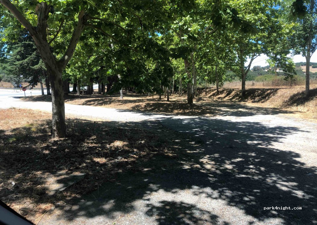 (7050-909) Montemor-o-Novo - — foto