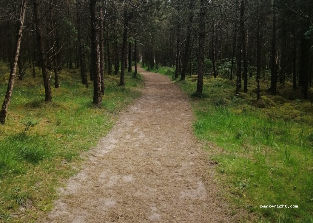 () - Unnamed Road — foto 2