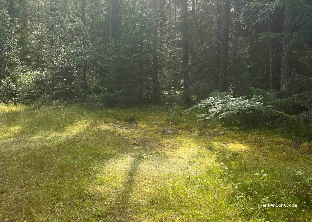 (598 72) Södra Vi - — foto