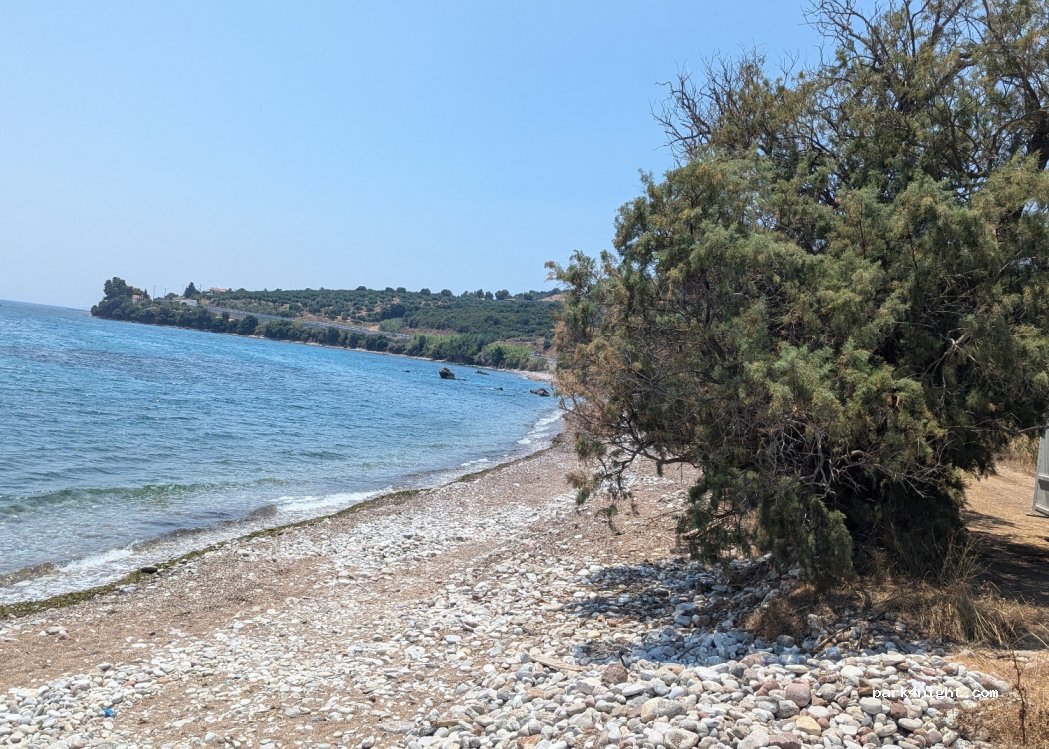 (240 05) Petalidi - E.O. Rizomilou-Koronis — foto 2