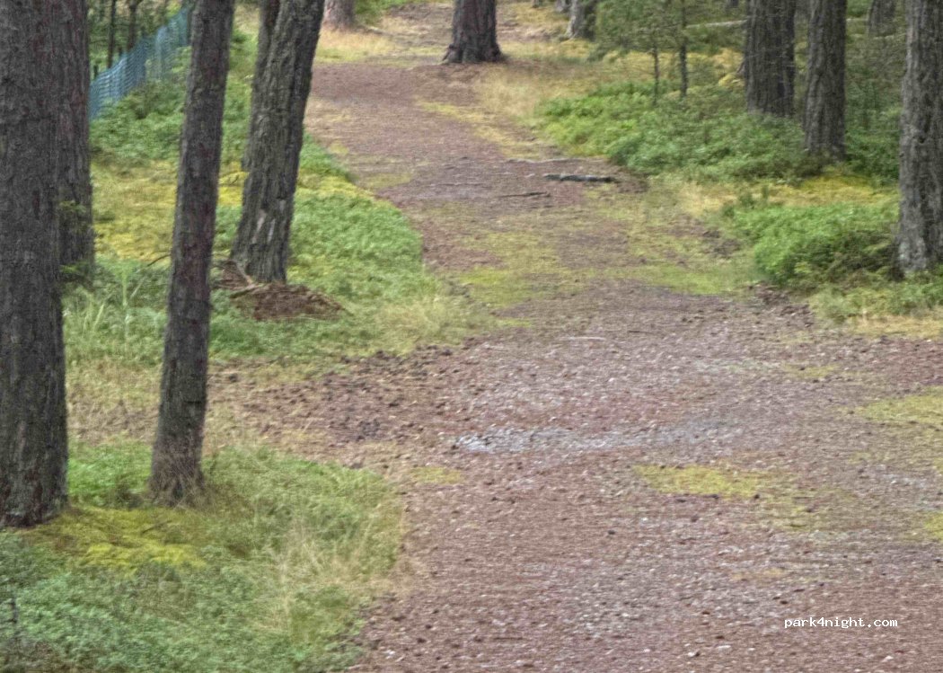 (149 92) Nynäshamn - 32 Örenvägen — foto