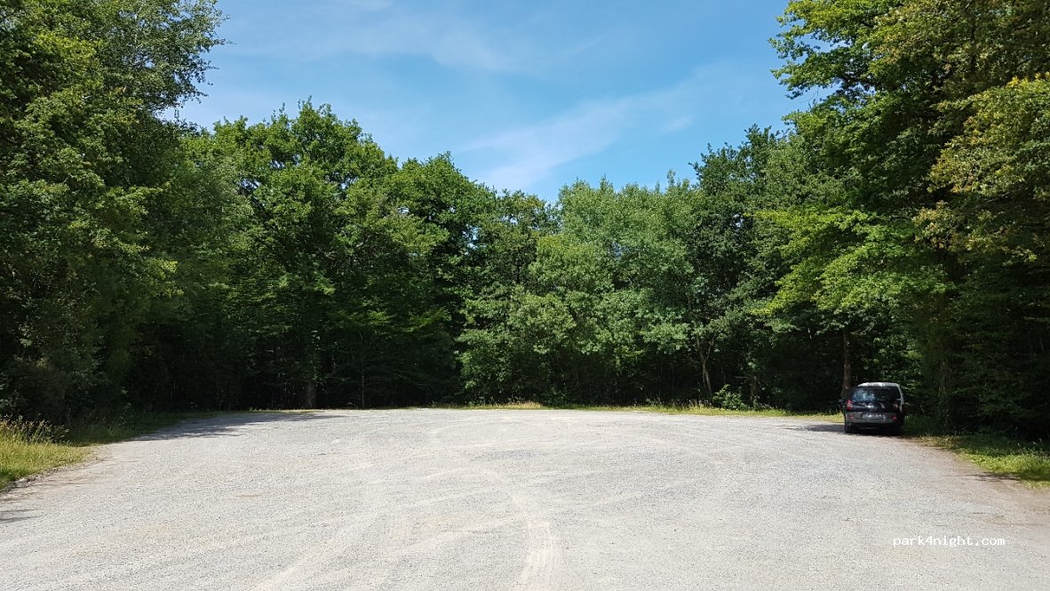 (49270) Saint-Laurent-des-Autels - D80 — foto