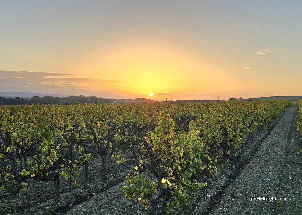 (11610) Pennautier - Chemin de Pezens — foto