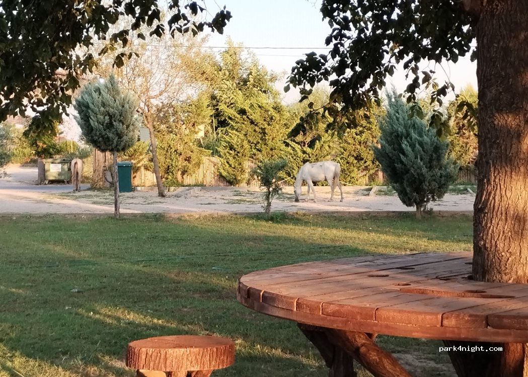 Demi Camping — foto 2