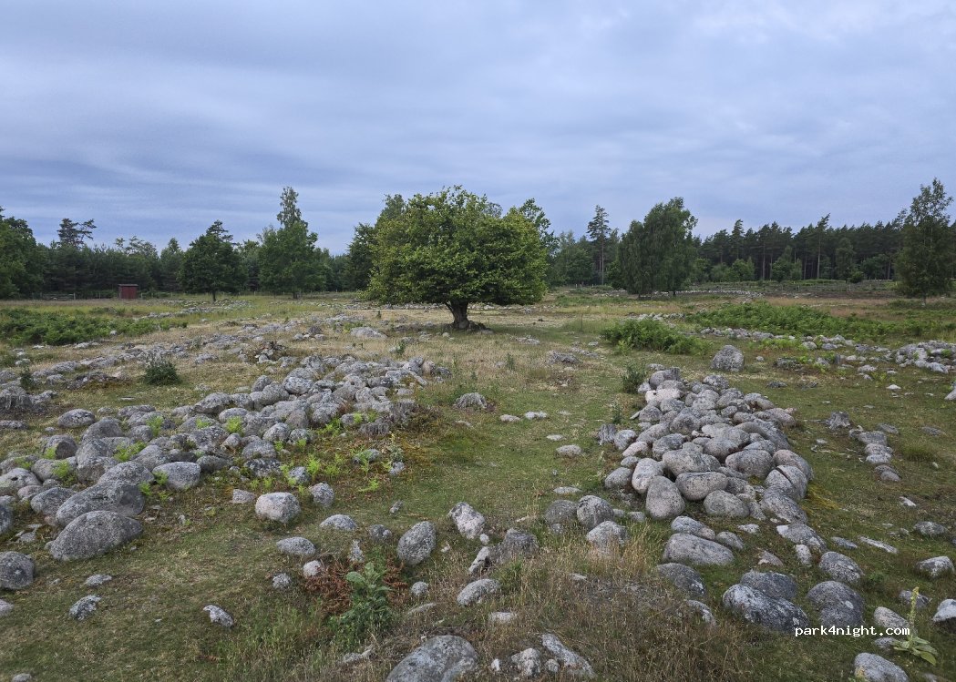 (387 74) Byxelkrok - Unnamed Road — foto