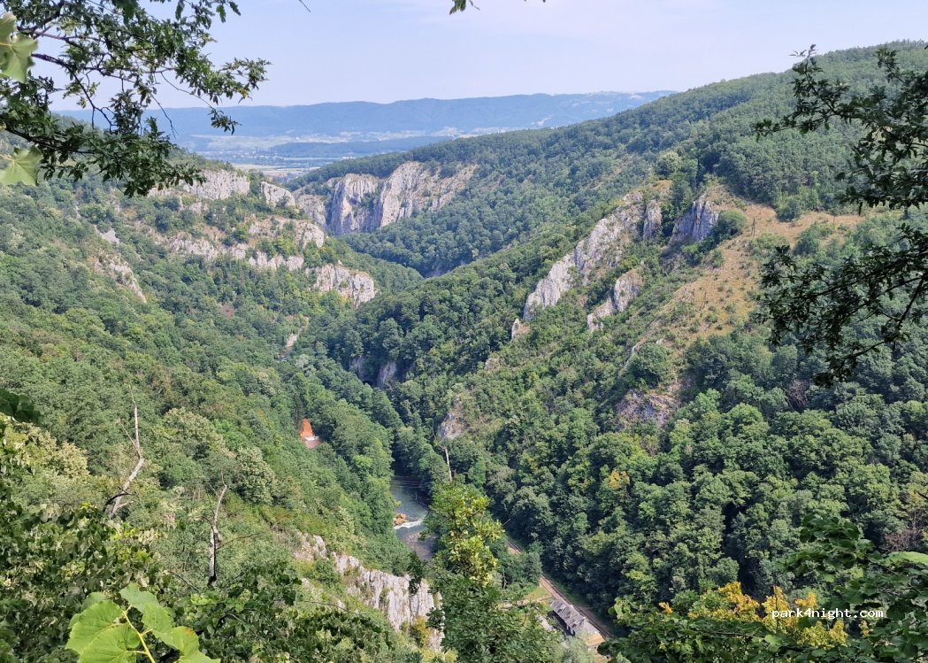 (417565) Șuncuiuș - — foto 2