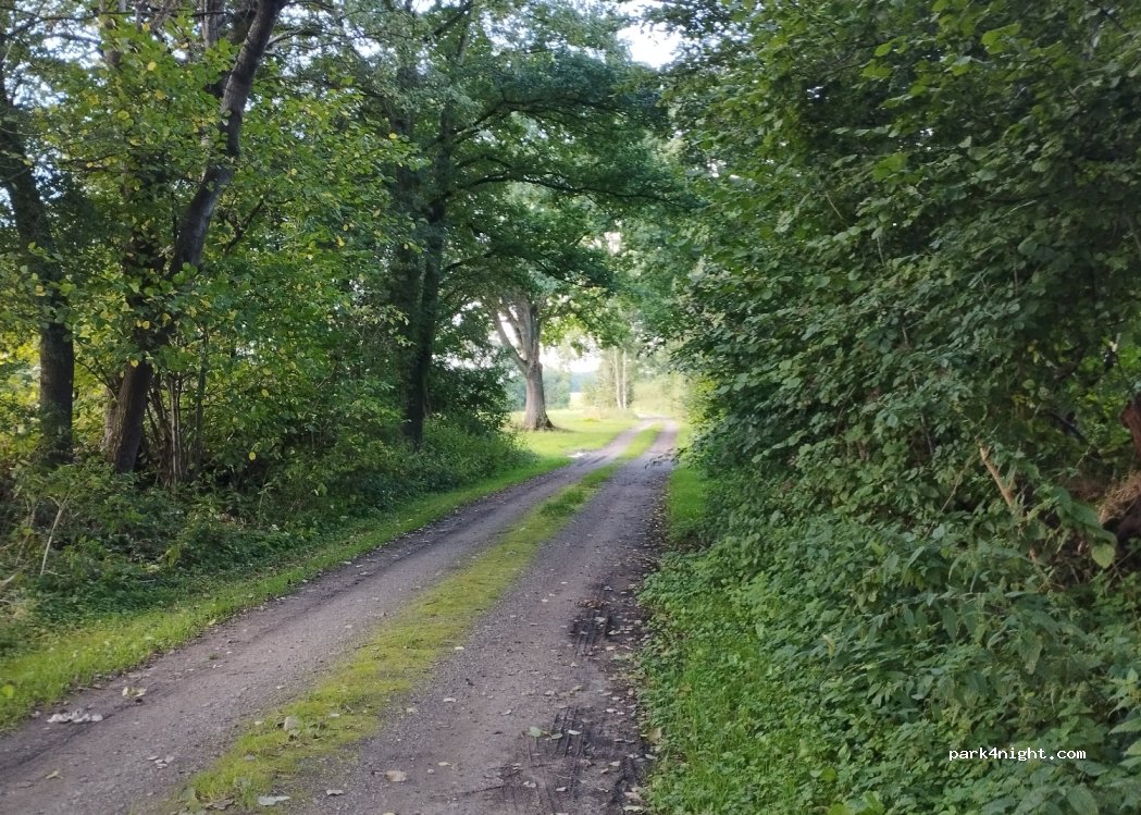 (24) Borgstedt - — foto 3