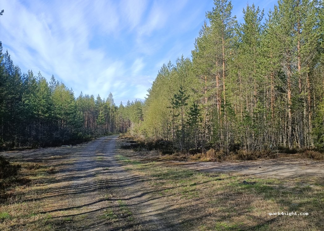 (905 72) Umeå - — foto 3
