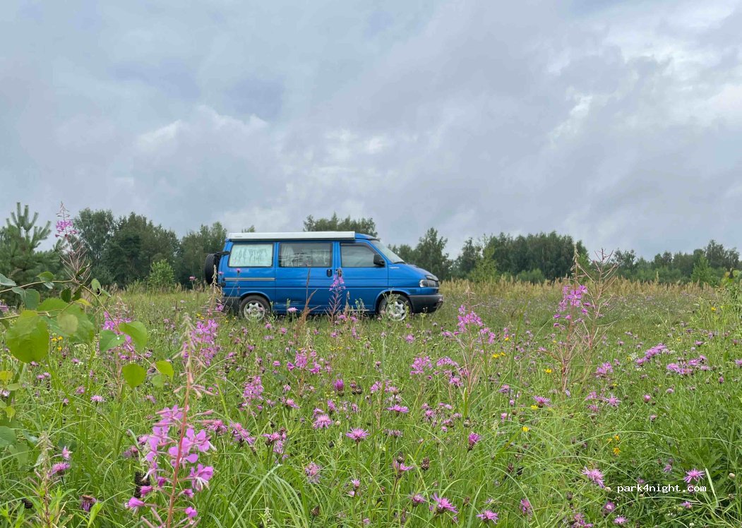 (142431) Pashukovo - — foto