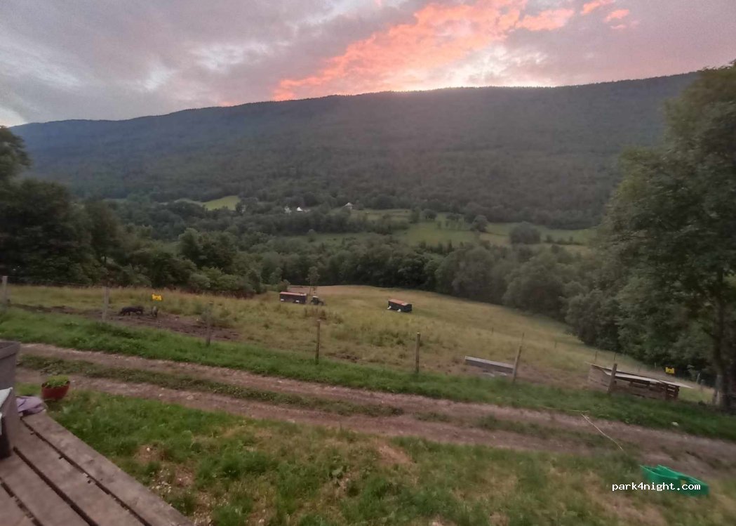 La Ferme de Rossanaz - Cochons et Oeufs heureux — foto