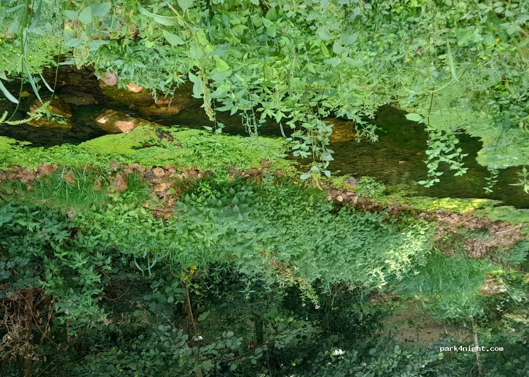 (86190) Quinçay - Moulin de Ringere — foto 3