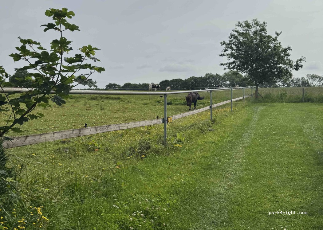 Waldseehof Ahlefeld - Anke & Wilhelm Wischnewski — foto 4