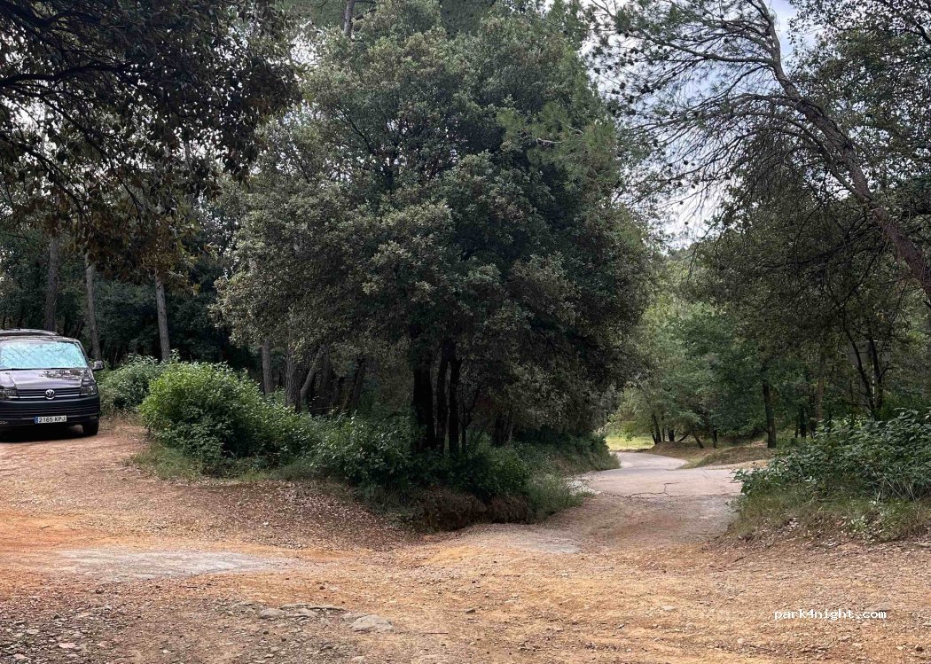 (17834) Camós - — foto