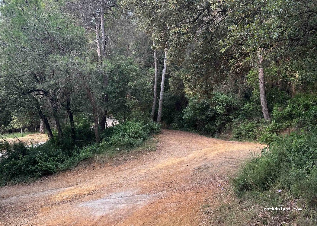 (17834) Camós - — foto 2
