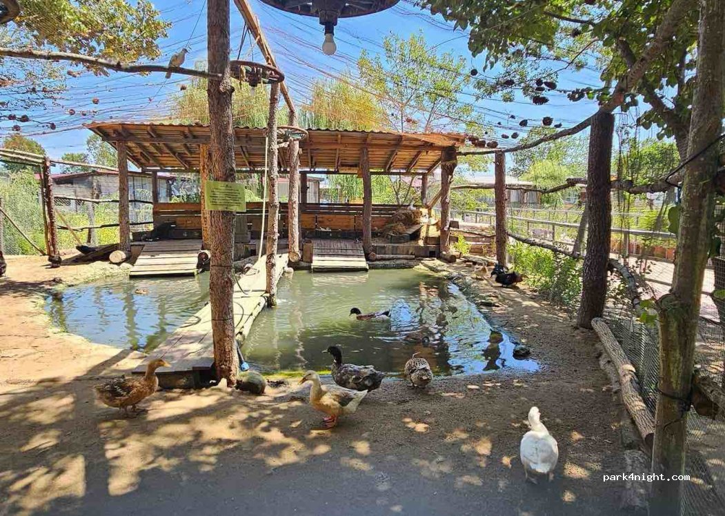 Camping Sozopol Eco — foto 3