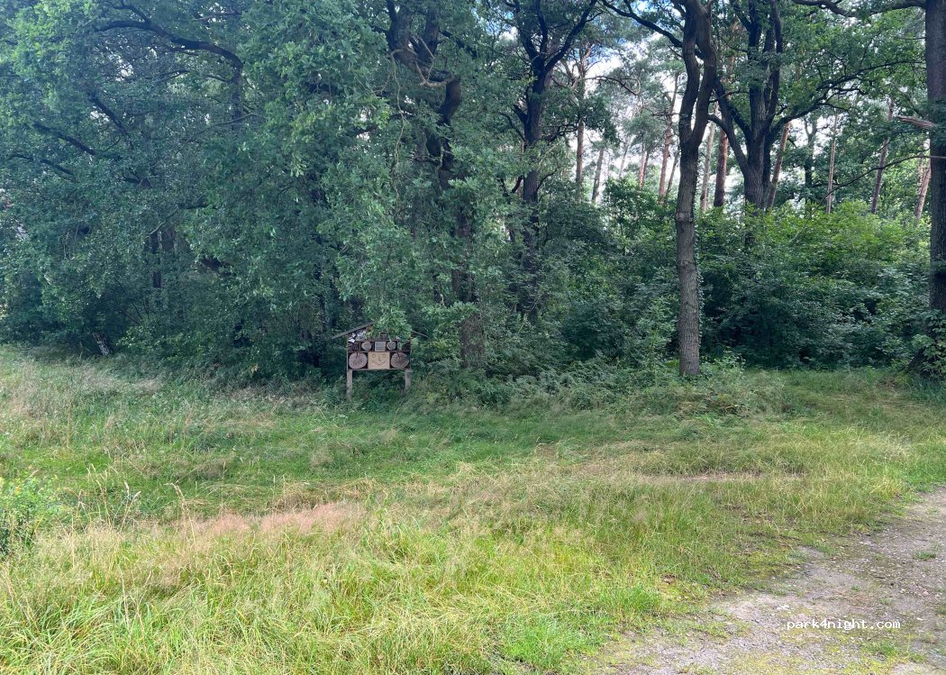 (38524) Sassenburg - — foto