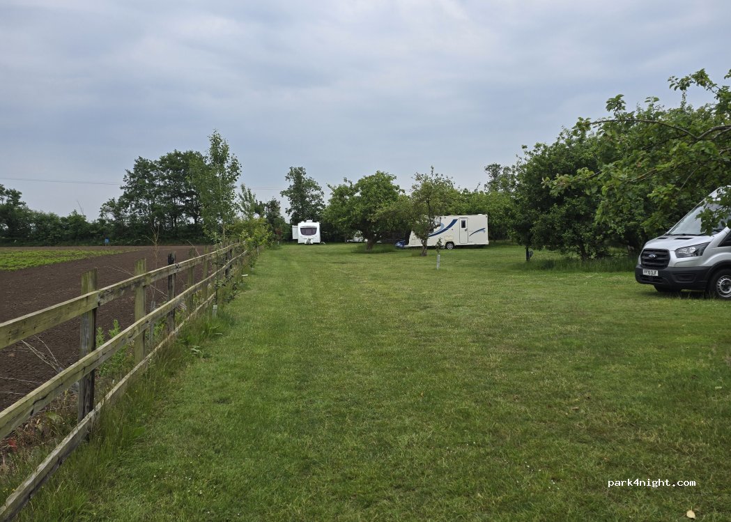 Bramley House Camp Site — foto 3