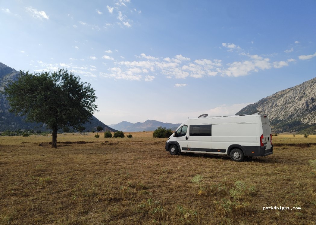 (07680) Başlar - — foto