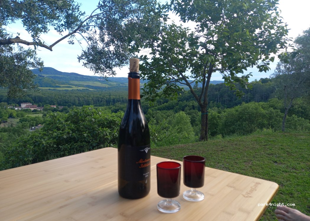 Visintin Winery — foto 5
