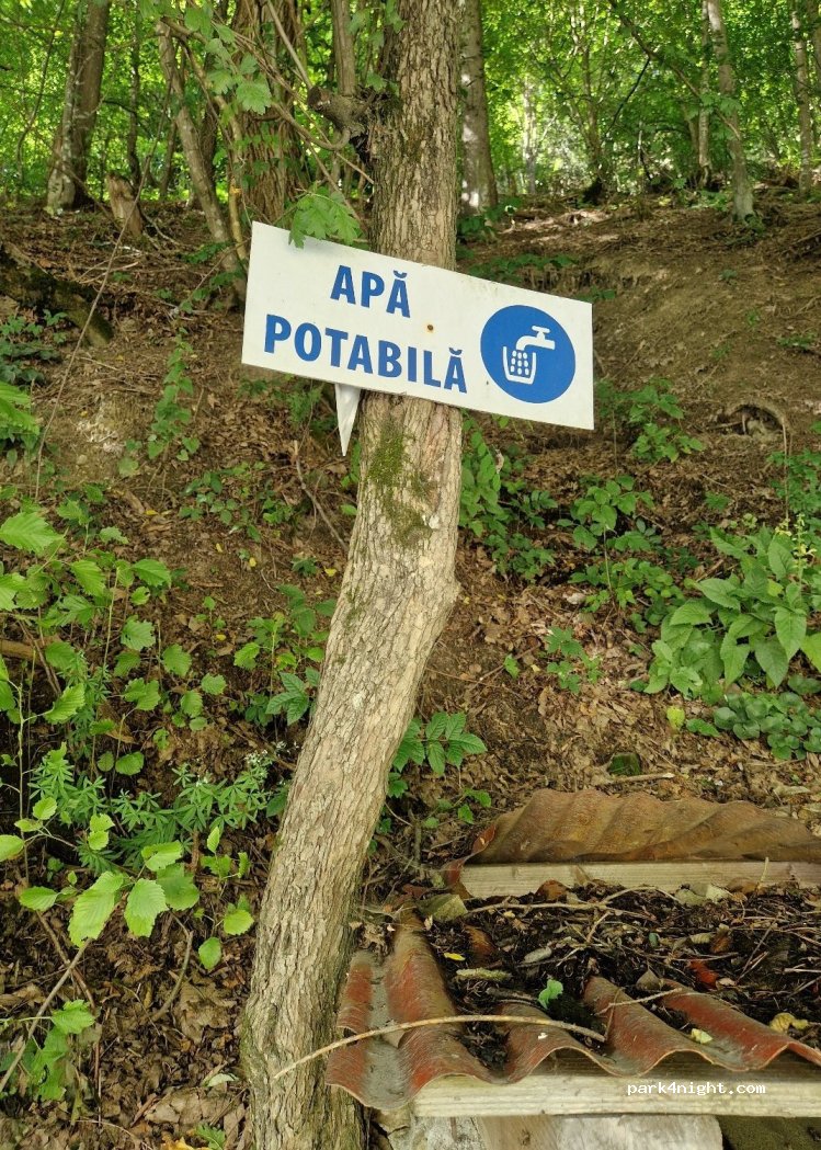 (517348) Mătișești - 74 — foto 2