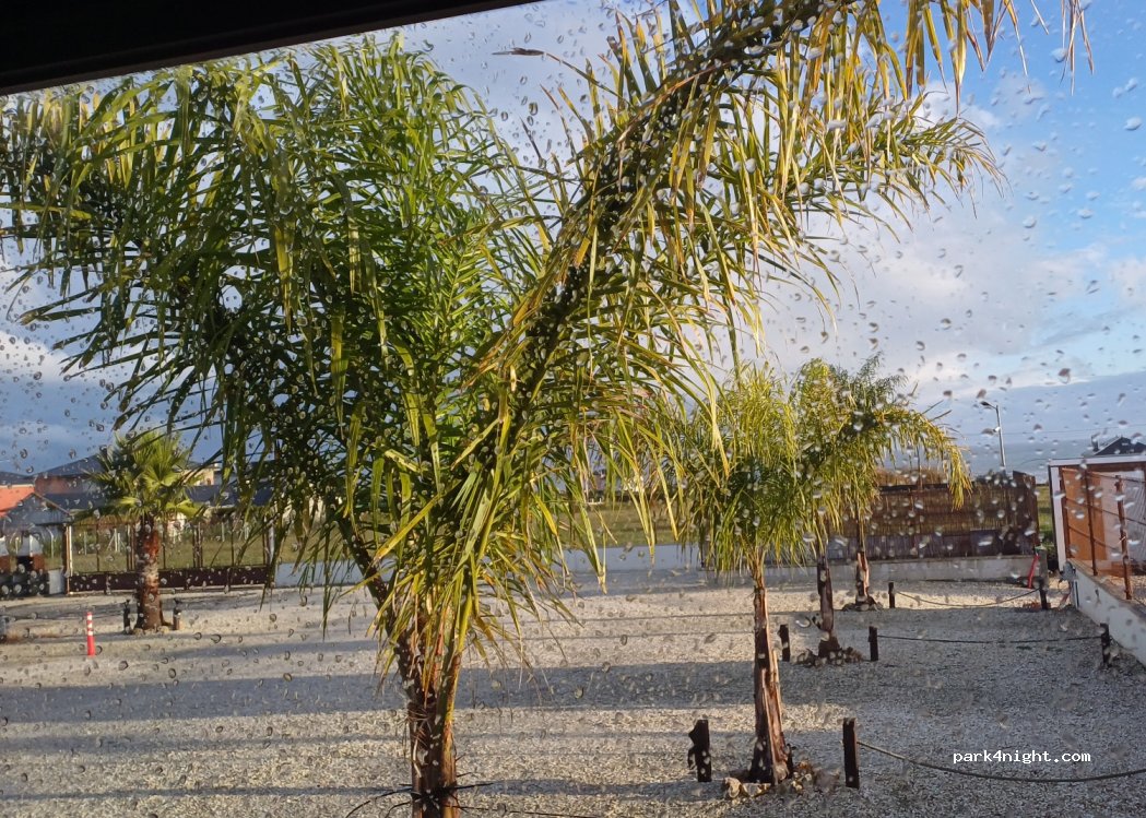 Atalaia Camper Park — foto 5