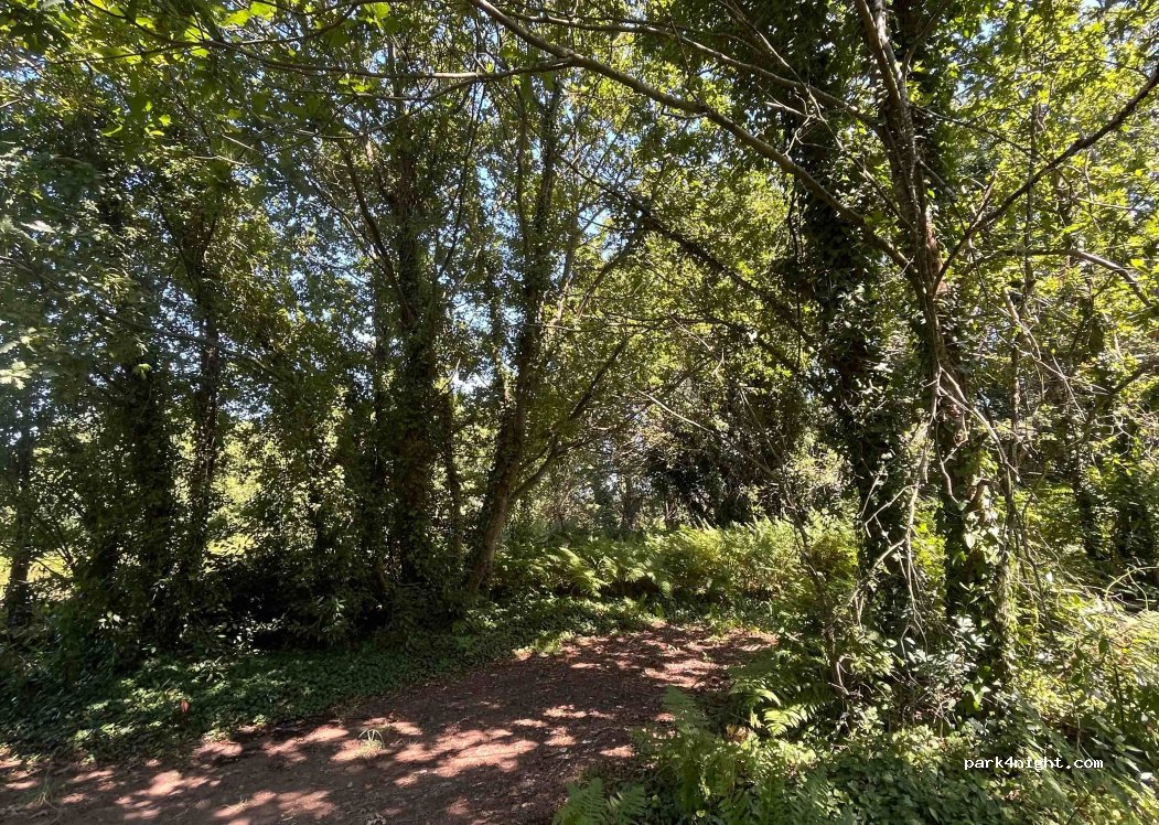 (3800) Cacia - 10 Largo de São Simão — foto