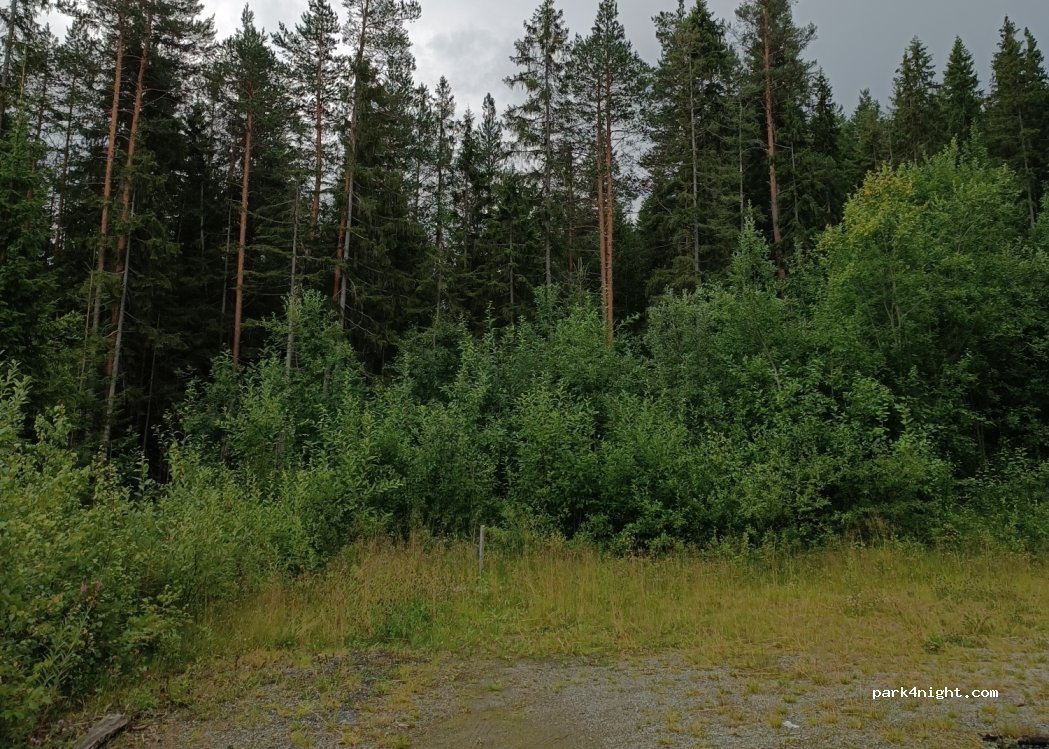(2910) Aurdal - — foto