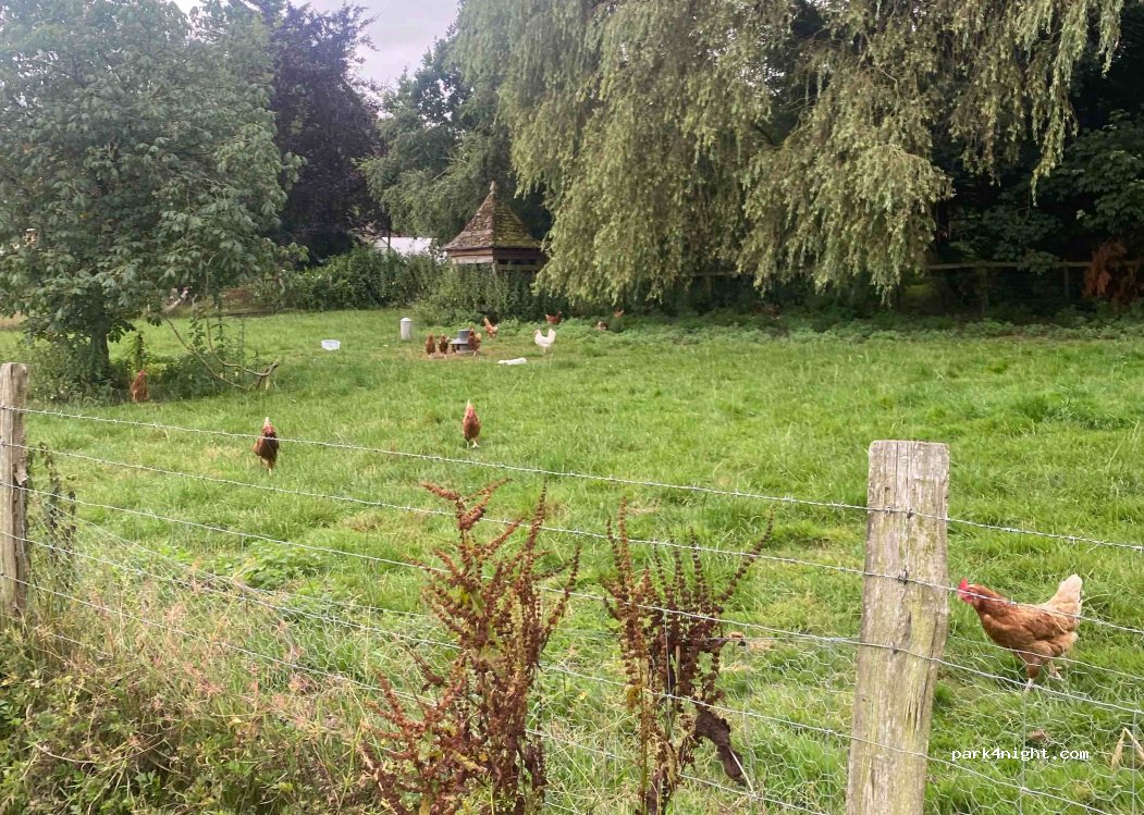 Park Farm Campsite — foto 2