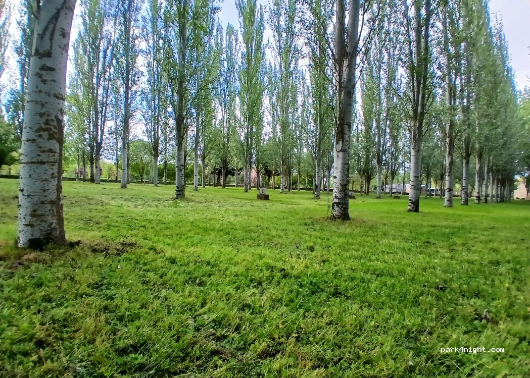 Camping Alba de Tormes — foto 2
