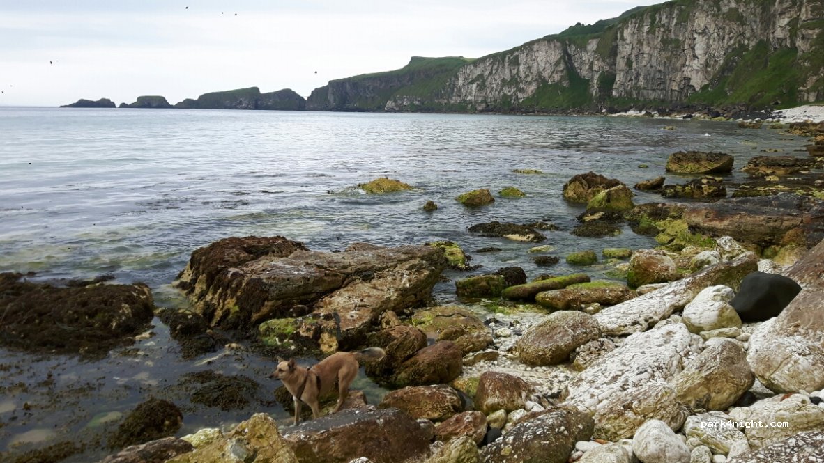 (BT54 6LS)  -  Rope Bridge — foto