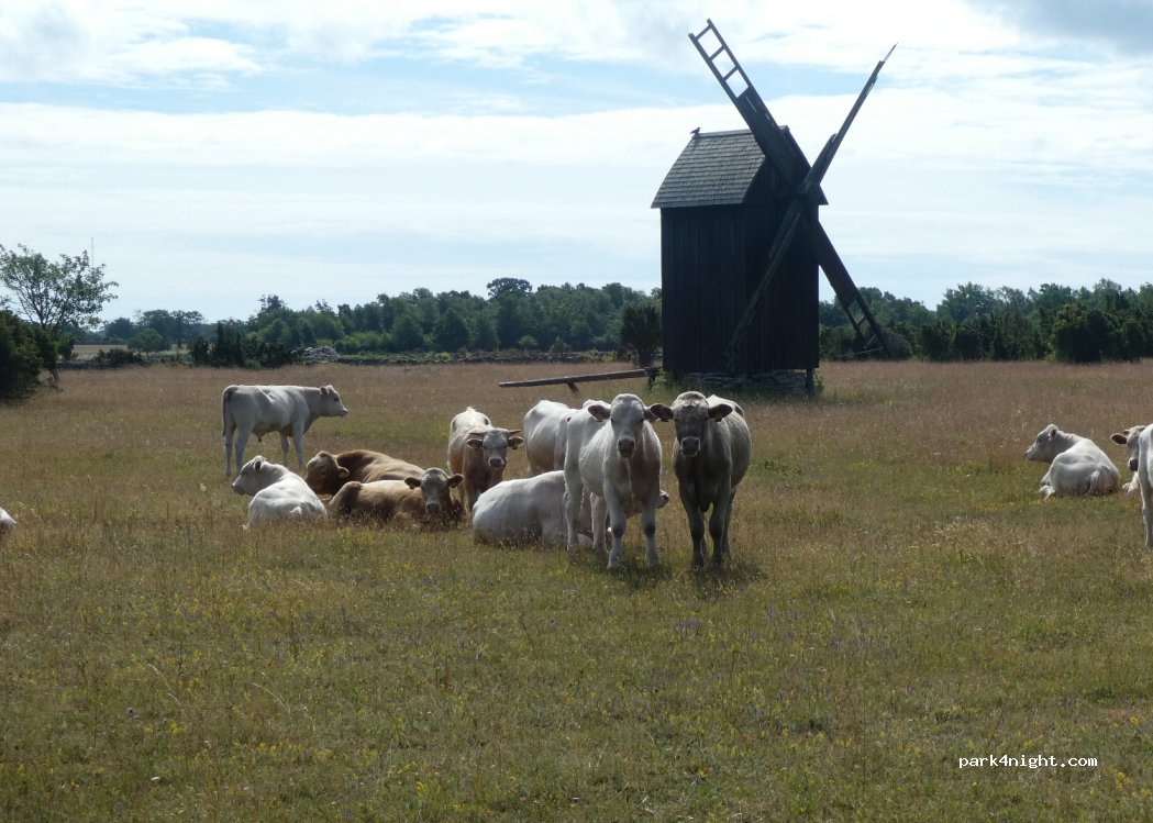 (623 37) Havdhem - — foto 2