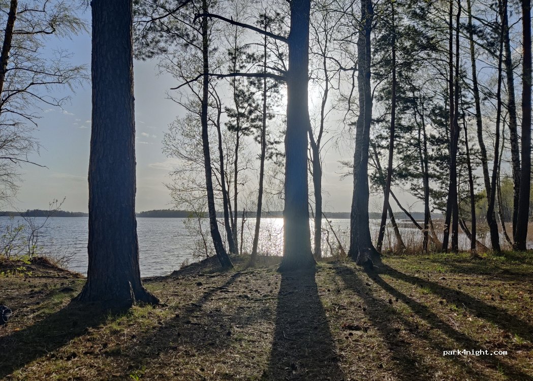 (5473) Pīlādži - — foto