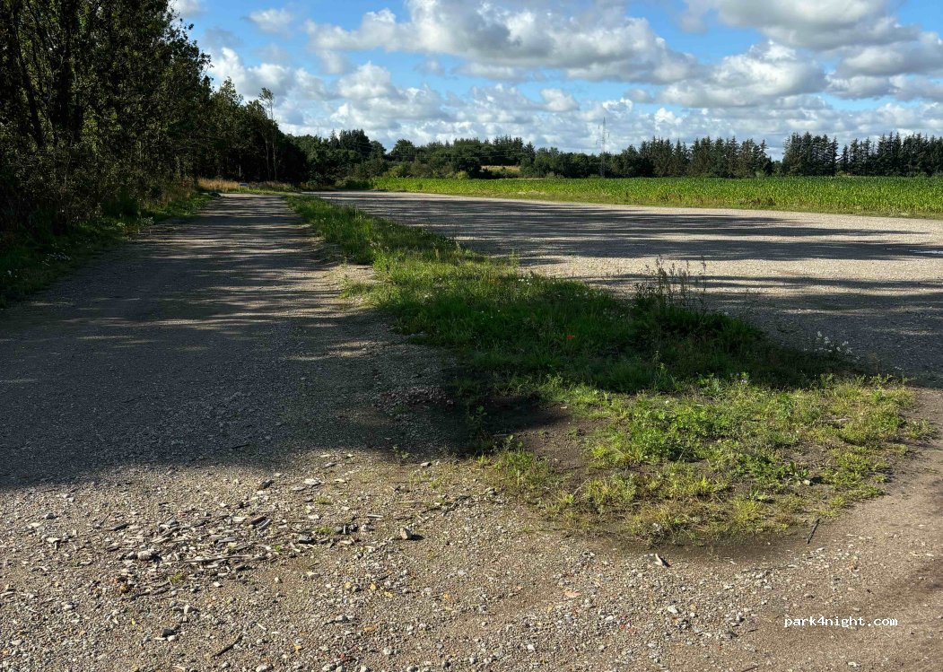 (9881) Bindslev - 2 Sdr Bindslevvej — foto 4