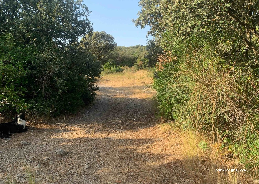 (34660) Cournonterral - — foto