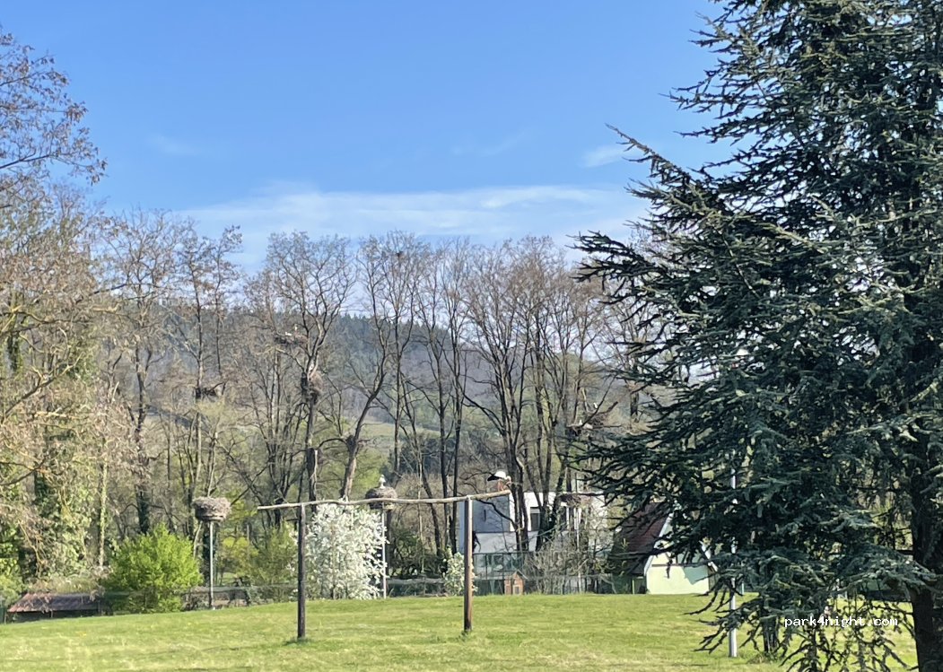 (68360) Jungholtz - 68 Montée des Malgré Nous — foto 3