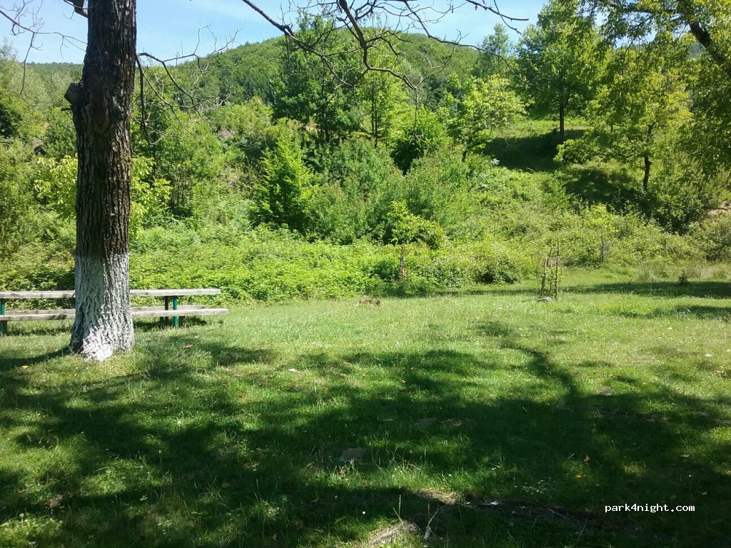 (417366) Chișcău - DC252 — foto 2