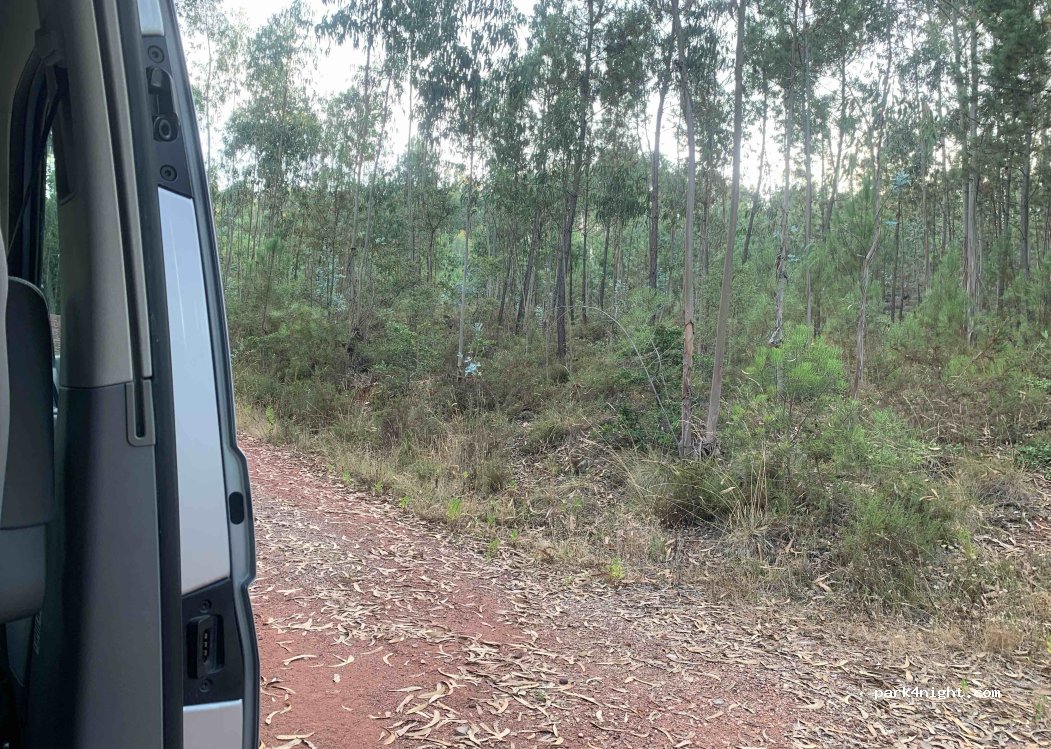 (3250) Maçãs de Caminho - — foto 2