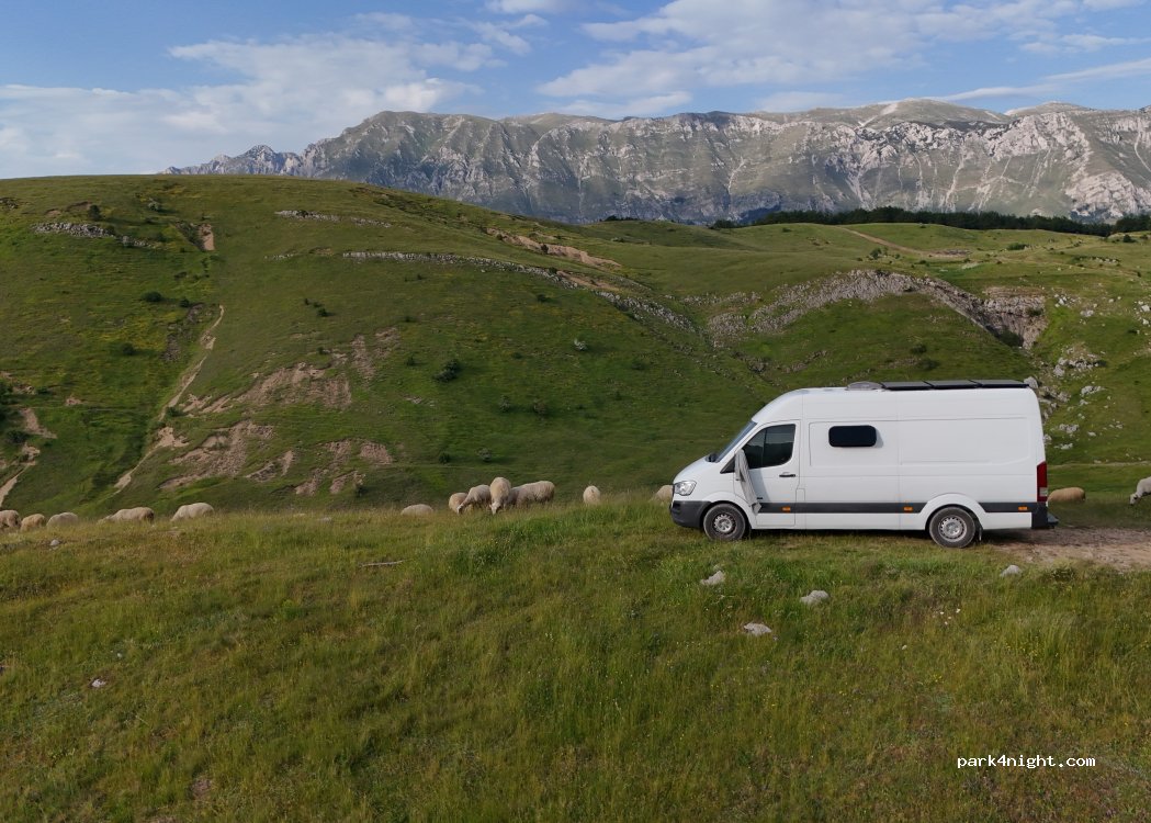 (89243) Čemerno - — foto 3