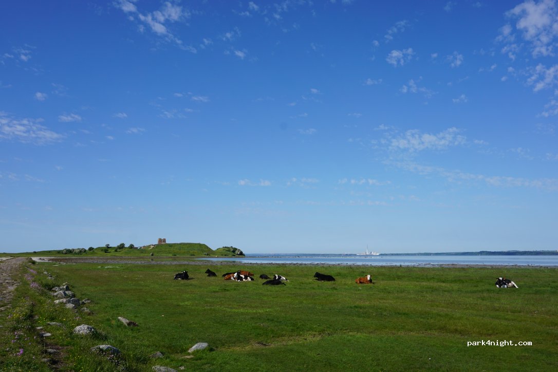 (8410) Rønde - 31 Molsvej — foto 2