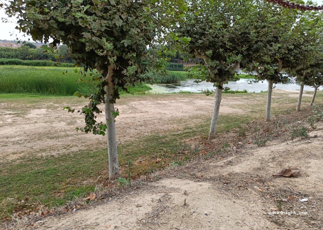 (43740) Móra d'Ebre - Passeig de l'Ebre — foto 4