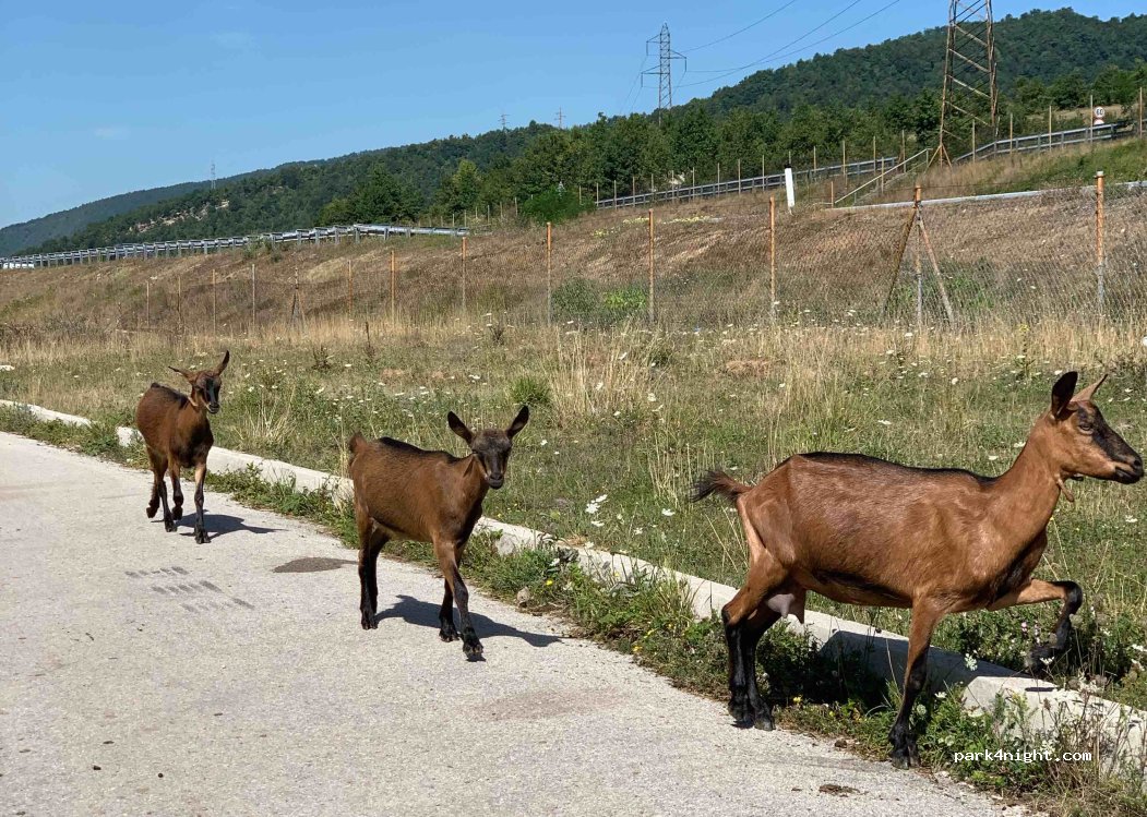 () Tičići - — foto